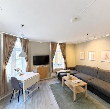 Stor attraktiv studioleilighet i sentrum