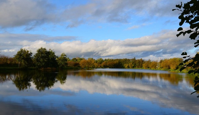 Storkesøen Ribe