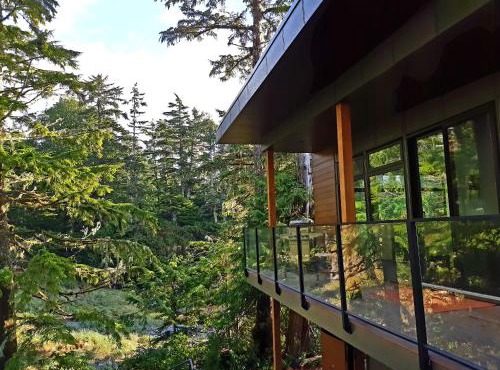 Storm Cove Suites
