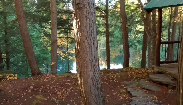 Stowe Adventure! Private Forest & Lake, Comfortable, 5 mins to town