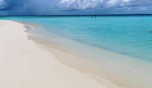 String Wave Maldives