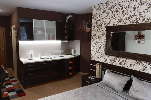 Studio 1 Iceberg Borovets