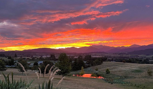 Studio 1, Studio One - Tasman View Accommodation