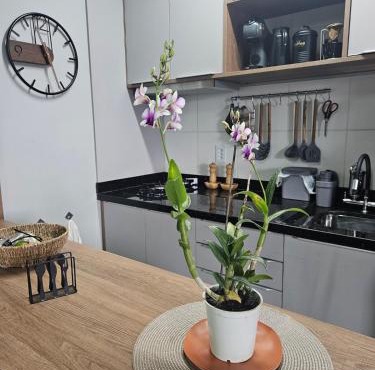 Studio 106 - com ar condicionado e garagem
