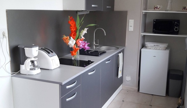 Studio 2 P in marshland, ideal for relaxation with swimming pool, rowing boat, bicycles in park.