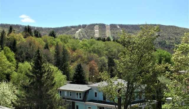 Studio 3 BEDS-SLP 3. Downtown Windham. Next to the Ski Resort. Close to Hunter