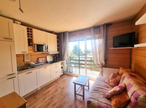 Studio 4/6 pers., Chaillol 1600, proche ski/rando, balcon S/O, TV, lave-vaisselle, animaux ok. - FR-1-393-66