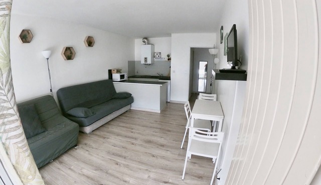 Studio 4 sleeps Port Du Cap d'agde