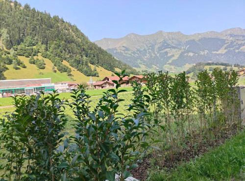 Studio 5min Blausee/20min Interlaken/WIFI