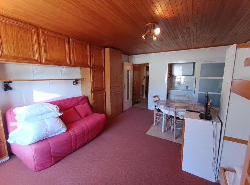 Studio abordable proche pistes, balcon sud, animaux admis - FR-1-445-90