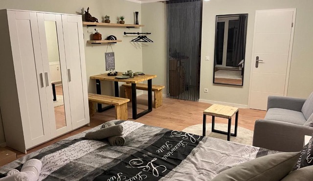 Studio an der Elbe mit Balkon, Küche und Netflix