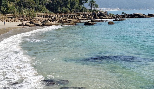 Studio apartment 6 minutes from Bombinhas Beach, downtown.