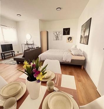 Studio Apartment Albblick