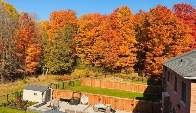 Studio Apartment in the heart of Caledon