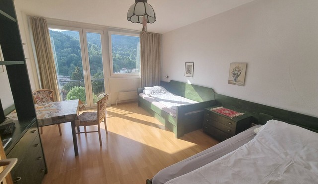 Studio Apartment for Contractors with Mountain View, Shared Pool and Wi-Fi