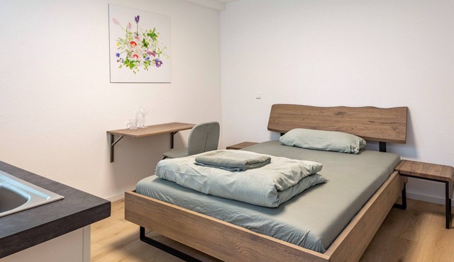 Studio Apartment 'Schlatt' with Wi-Fi