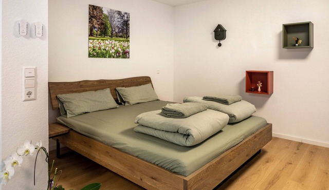 Studio Apartment 'Belchen' with balcony and Wi-Fi