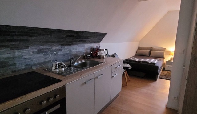 Studio Apartment 'Ferienwohnung Hühnernest' with Wi-Fi
