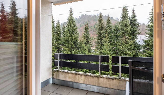 Studio Apartment 'Ferienwohnung mit Charme II' with Private Terrace, Balcony and Wi-Fi
