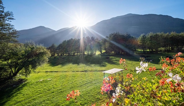 Studio Apartment 'Hausergut Topaz' with Mountain View, Shared Garden and Wi-Fi
