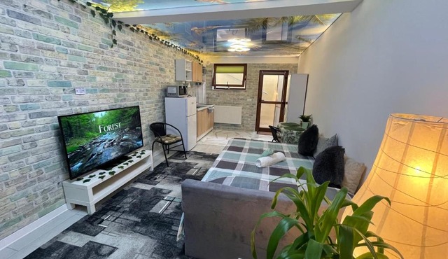 Studio Apartment in Panoramic House