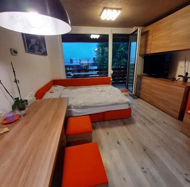 Studio Apartment Jež