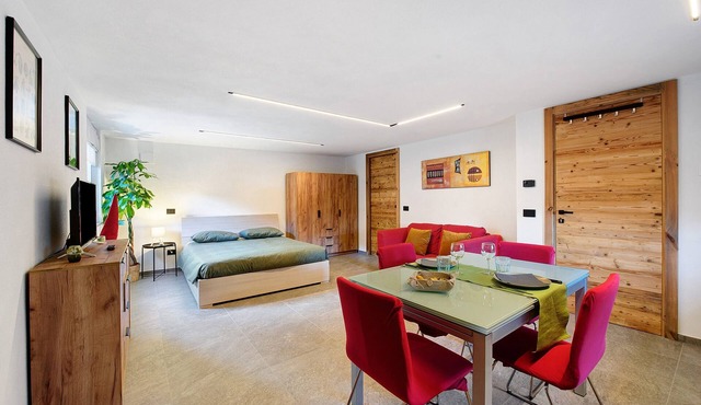 Studio Apartment 'La Pièce de Leo' in Chatillon