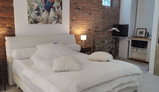 Studio Apartment 'Loft 30 Qm' with Shared Terrace and Wi-Fi
