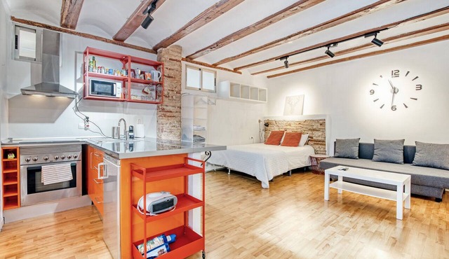 Studio Apartment 'Mendoza' with Balcony, Wi-Fi and Air Conditioning