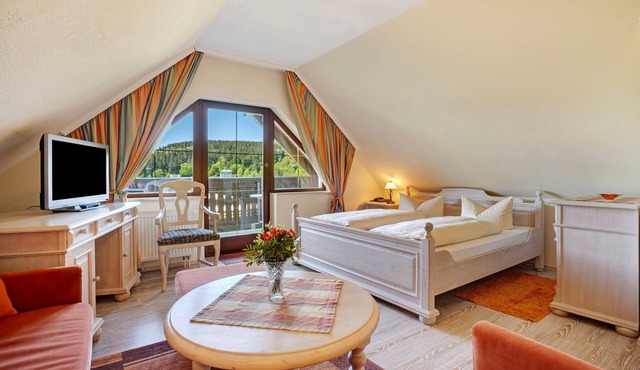 Studio Apartment 'Pension Bergblick - Silberstraße' with Mountain View, Balcony and Wi-Fi