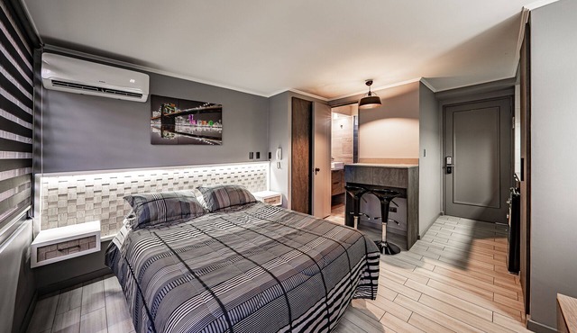 Studio apartment renewed @ best location in Santiago