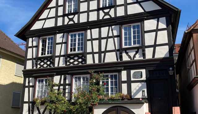 Studio Apartment "Scheffelhaus" with Wi-Fi
