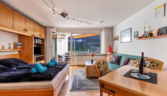 Studio Apartment "Studti 134" with Mountain View, Balcony & Wi-Fi