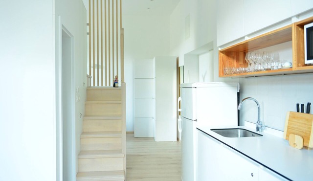 Studio Apt Orchard on Rokova St