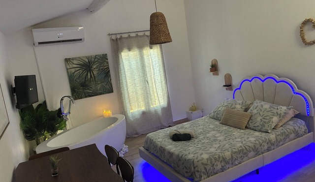 Studio Aude