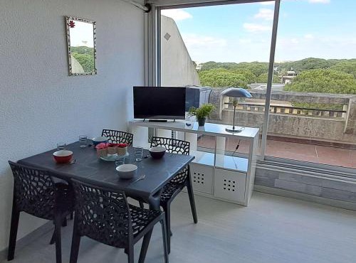 Studio cabine climatisé, piscine, parking, animaux admis, 350m plage - FR-1-250-62
