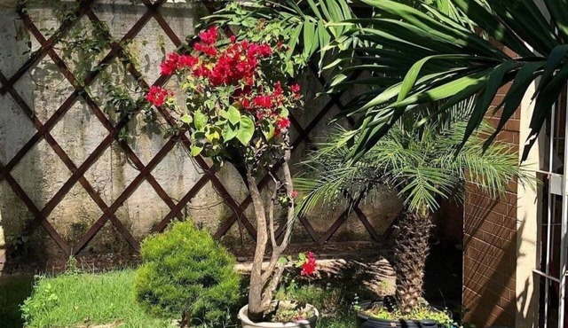 Studio Casa Caiada - A Joia de Olinda