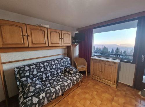 Studio cosy 4 pers avec balcon sud, centre station, animaux admis - Saint-Michel-de-Chaillol - FR-1-393-4