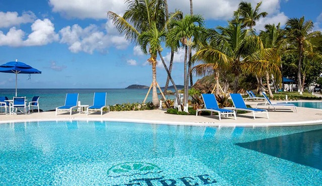 Studio Condo at Wyndham Limetree Resort - Right on the Beach!