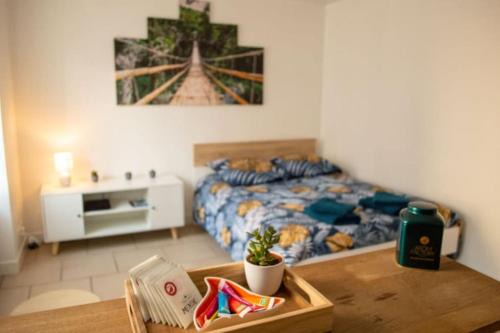 studio cosy & fun face aux château fléchettes