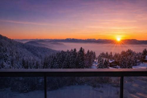 Studio cozy avec vue panoramique sur les montagnes