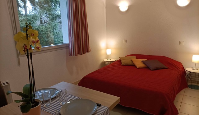 Studio Dans Résidence Avec Piscine B29