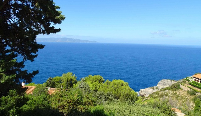 Studio flat overlooking the sea