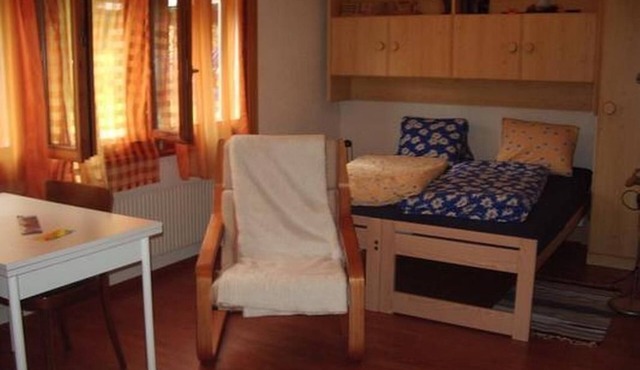 Studio flat with mountain view Schwanden Brienz