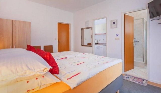 Studio flat with balcony and sea view Srebreno, Dubrovnik (AS-22386-c)