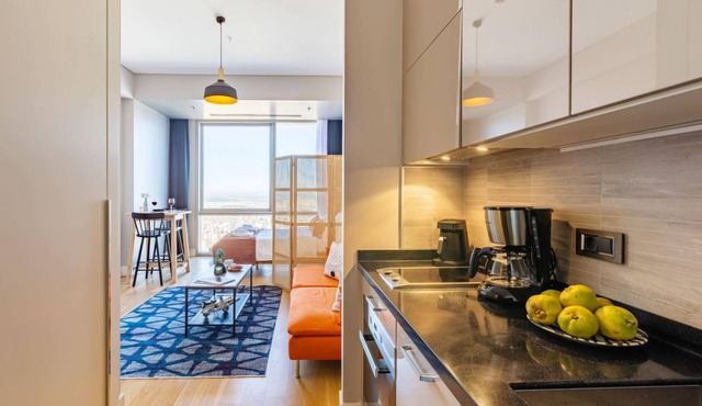 Studio Flat with Panoramic City View in Atasehir