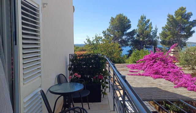 Studio flat with terrace and sea view Zavala, Hvar (AS-8710-a)