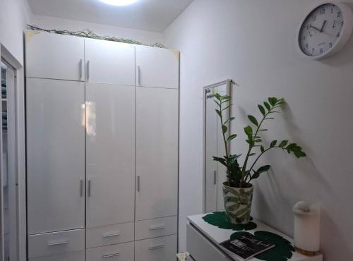 Studio Forest