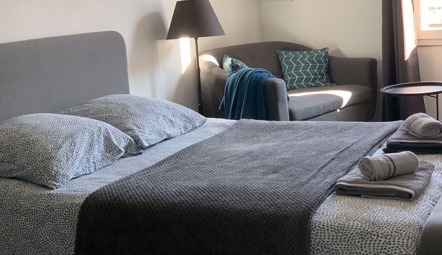 Studio ideally located near the La Mongie, Aquensis and thermal baths shuttles