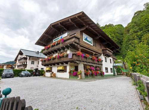 Studio in Saalbach near Ski Slopes
